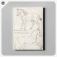1-36_Charles-Hamilton-Smith_canvas