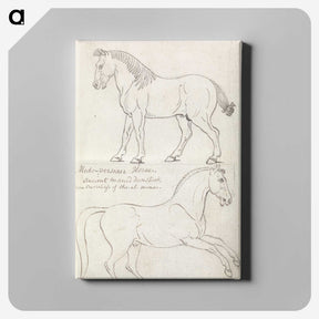 1-36_Charles-Hamilton-Smith_canvas