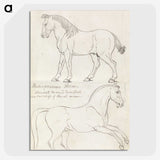1-36_Charles-Hamilton-Smith_picture-crop