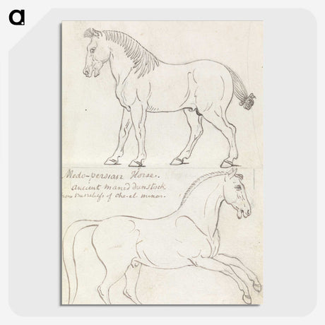 1-36_Charles-Hamilton-Smith_picture-crop
