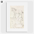 1-36_Charles-Hamilton-Smith_picture