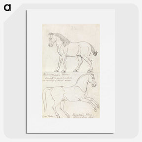 1-36_Charles-Hamilton-Smith_picture
