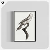1-36_Des-Oiseaux-de-Paradis_blk-crop