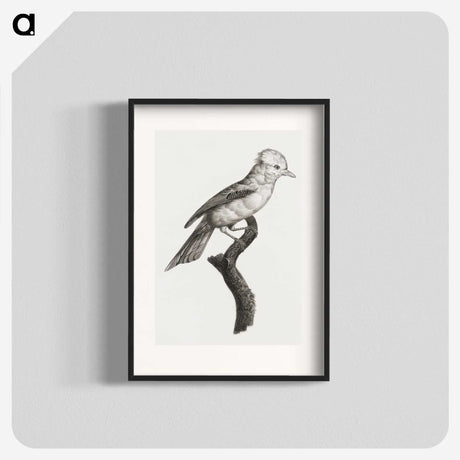 1-36_Des-Oiseaux-de-Paradis_blk