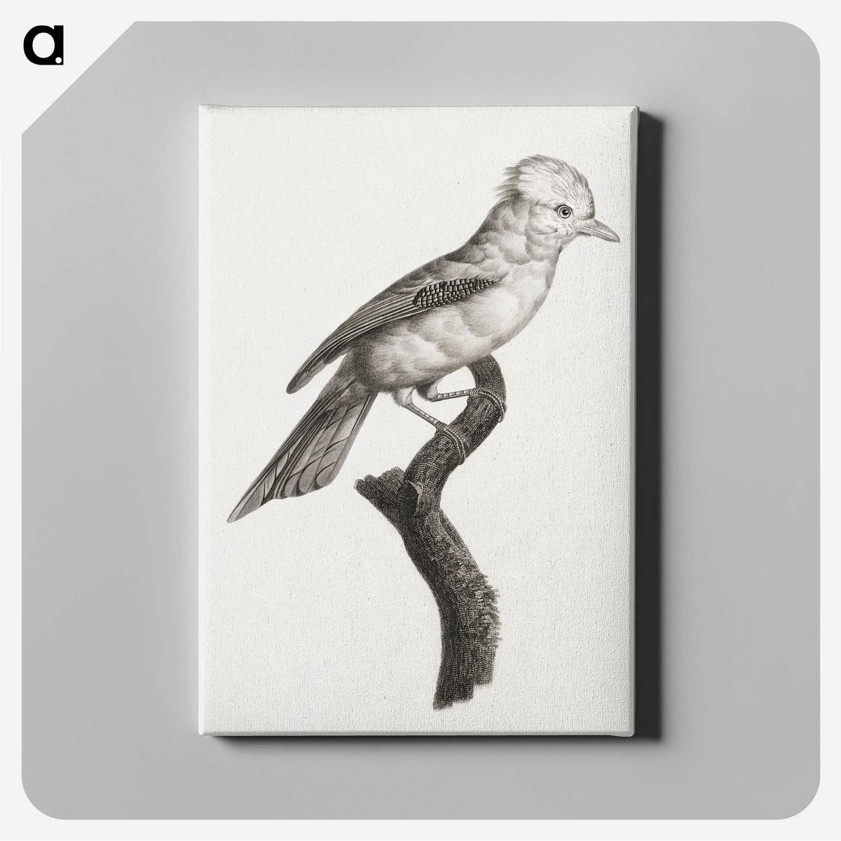 1-36_Des-Oiseaux-de-Paradis_canvas