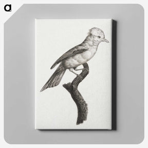 1-36_Des-Oiseaux-de-Paradis_canvas