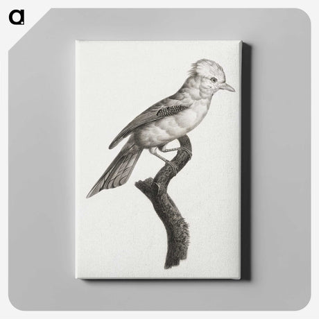 1-36_Des-Oiseaux-de-Paradis_canvas