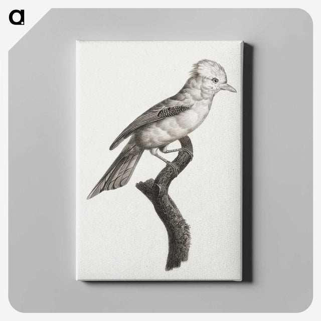 1-36_Des-Oiseaux-de-Paradis_canvas
