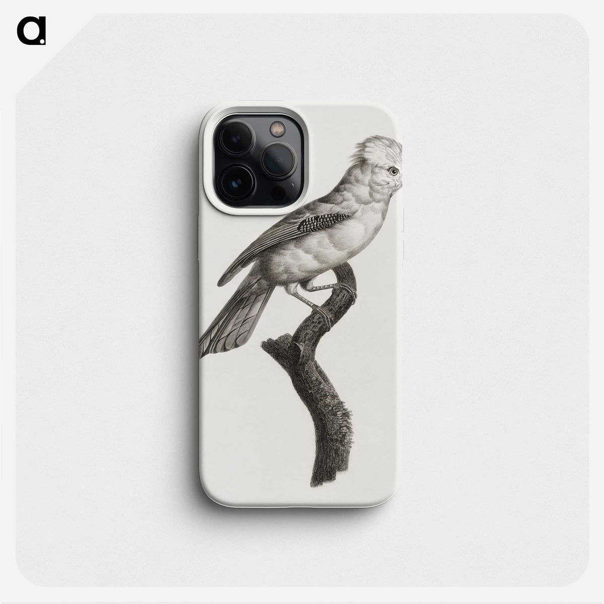 1-36_Des-Oiseaux-de-Paradis_phone