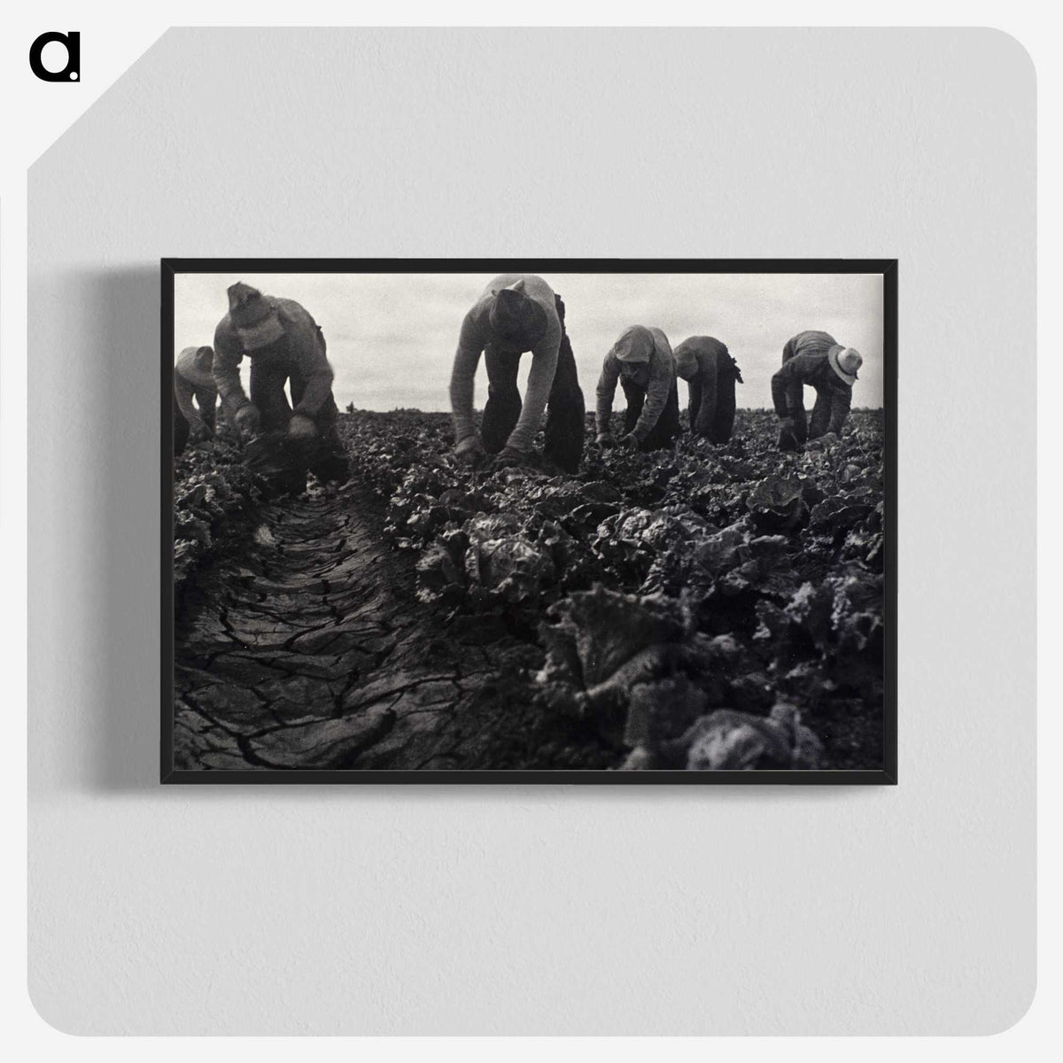 1-36_Dorothea-Lange_blk-crop