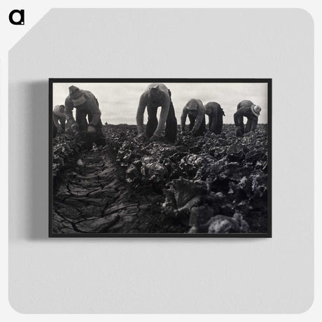 1-36_Dorothea-Lange_blk-crop