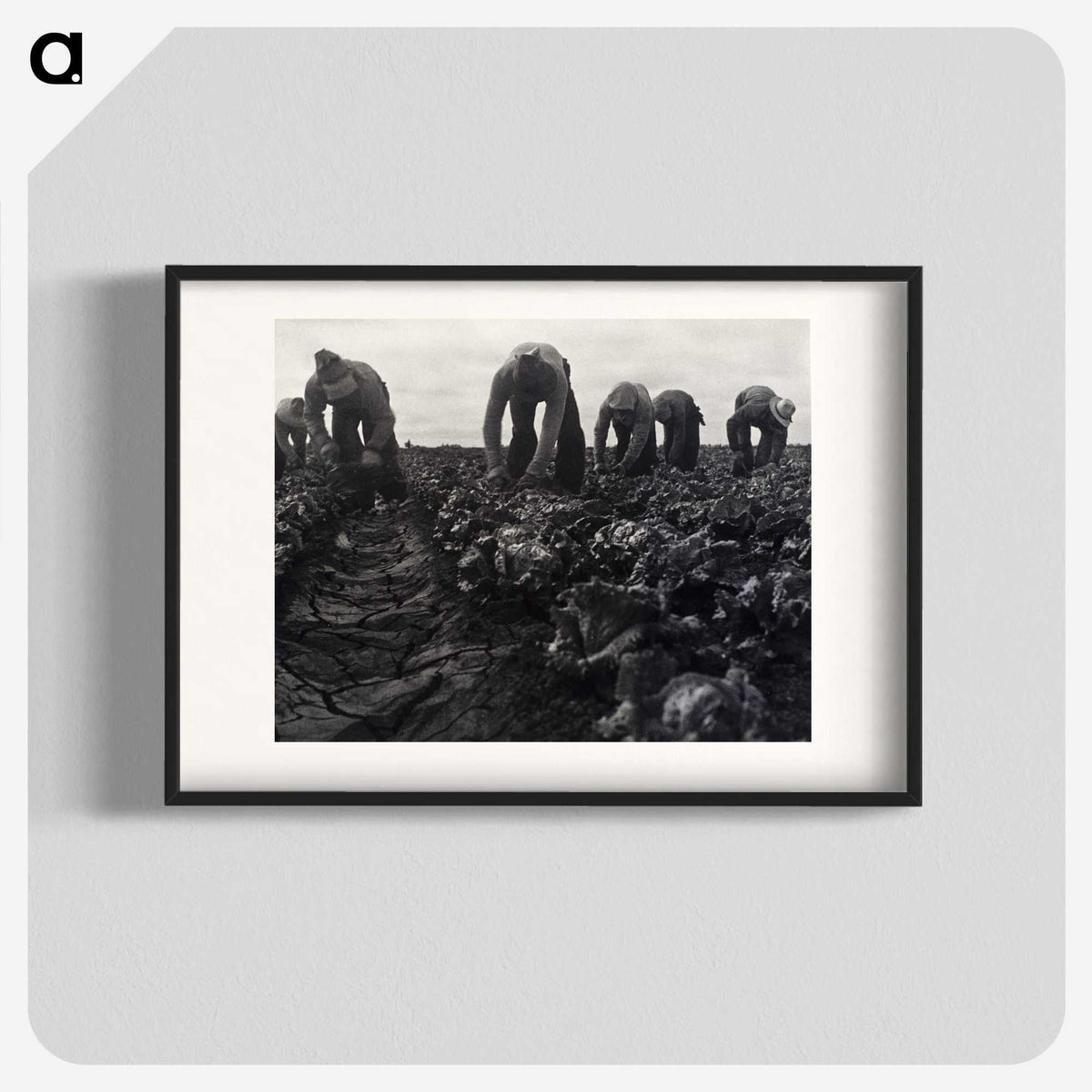1-36_Dorothea-Lange_blk