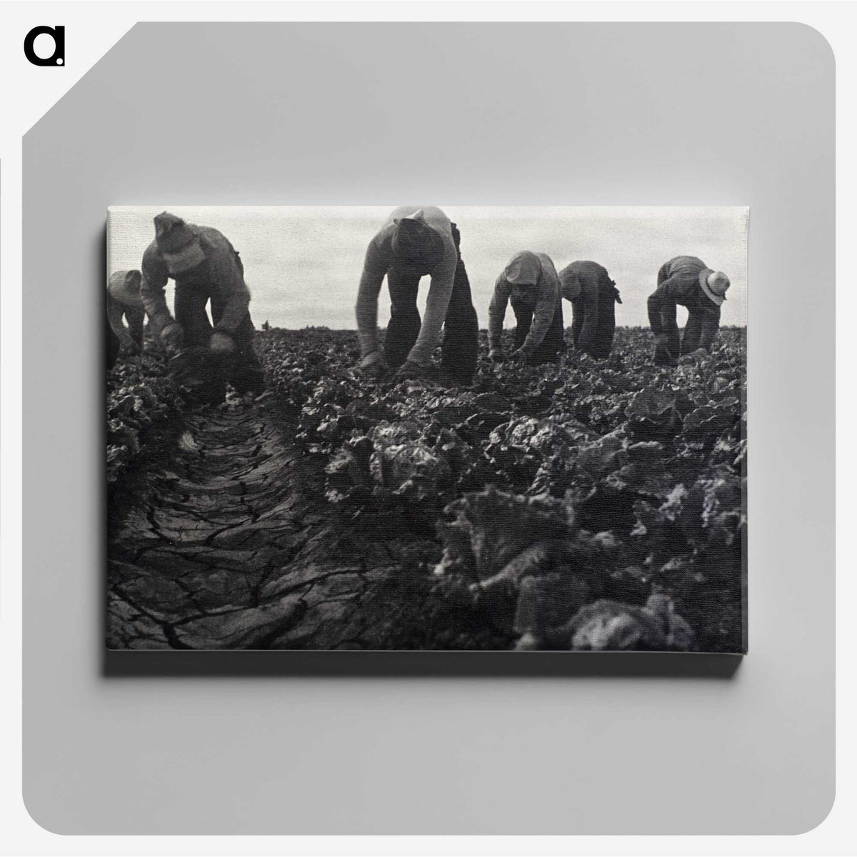 1-36_Dorothea-Lange_canvas