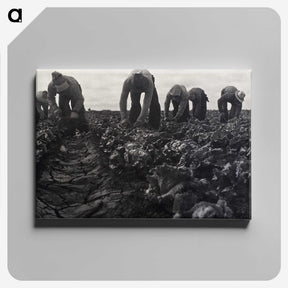 1-36_Dorothea-Lange_canvas