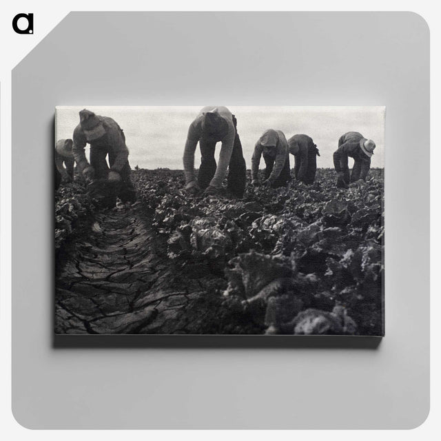1-36_Dorothea-Lange_canvas