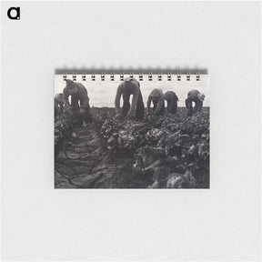アートメモ帳-Salinas Lettuce Pickers, Calif. - ドロテア ラング Memo.