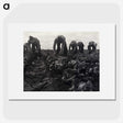 1-36_Dorothea-Lange_picture