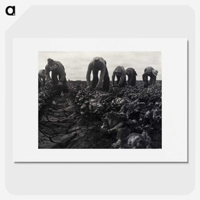 1-36_Dorothea-Lange_picture