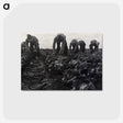 1-36_Dorothea-Lange_postcard