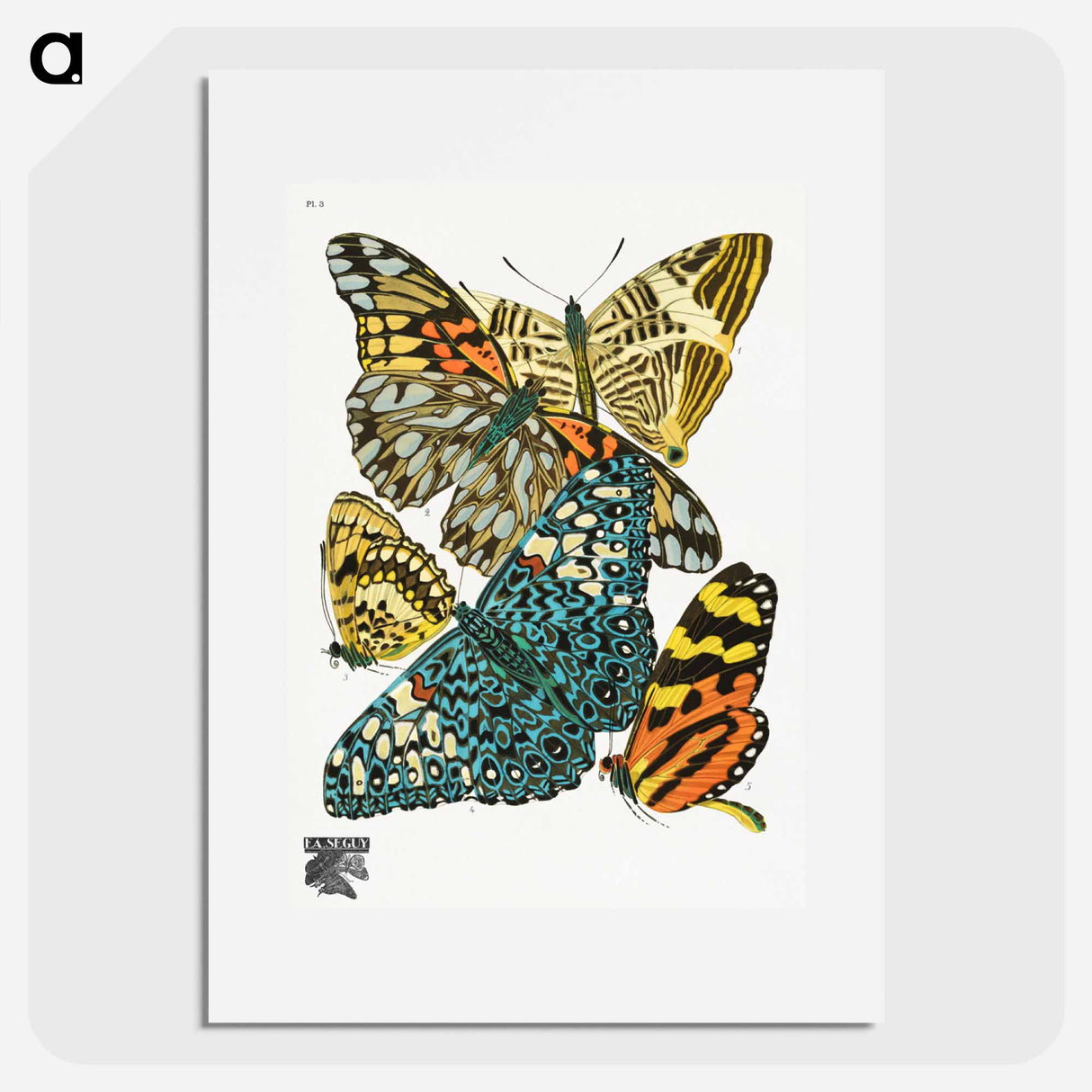 E.A. Séguy's vintage butterflies - E.A.セギー Poster.