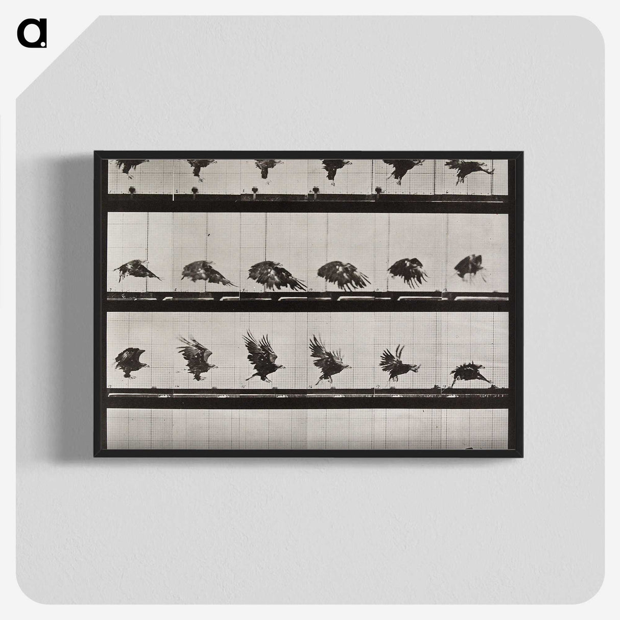 1-36_Eadweard-Muybridge_blk-crop