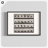1-36_Eadweard-Muybridge_blk