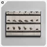 1-36_Eadweard-Muybridge_canvas
