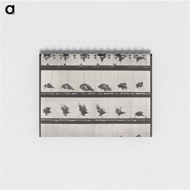 1-36_Eadweard-Muybridge_memo
