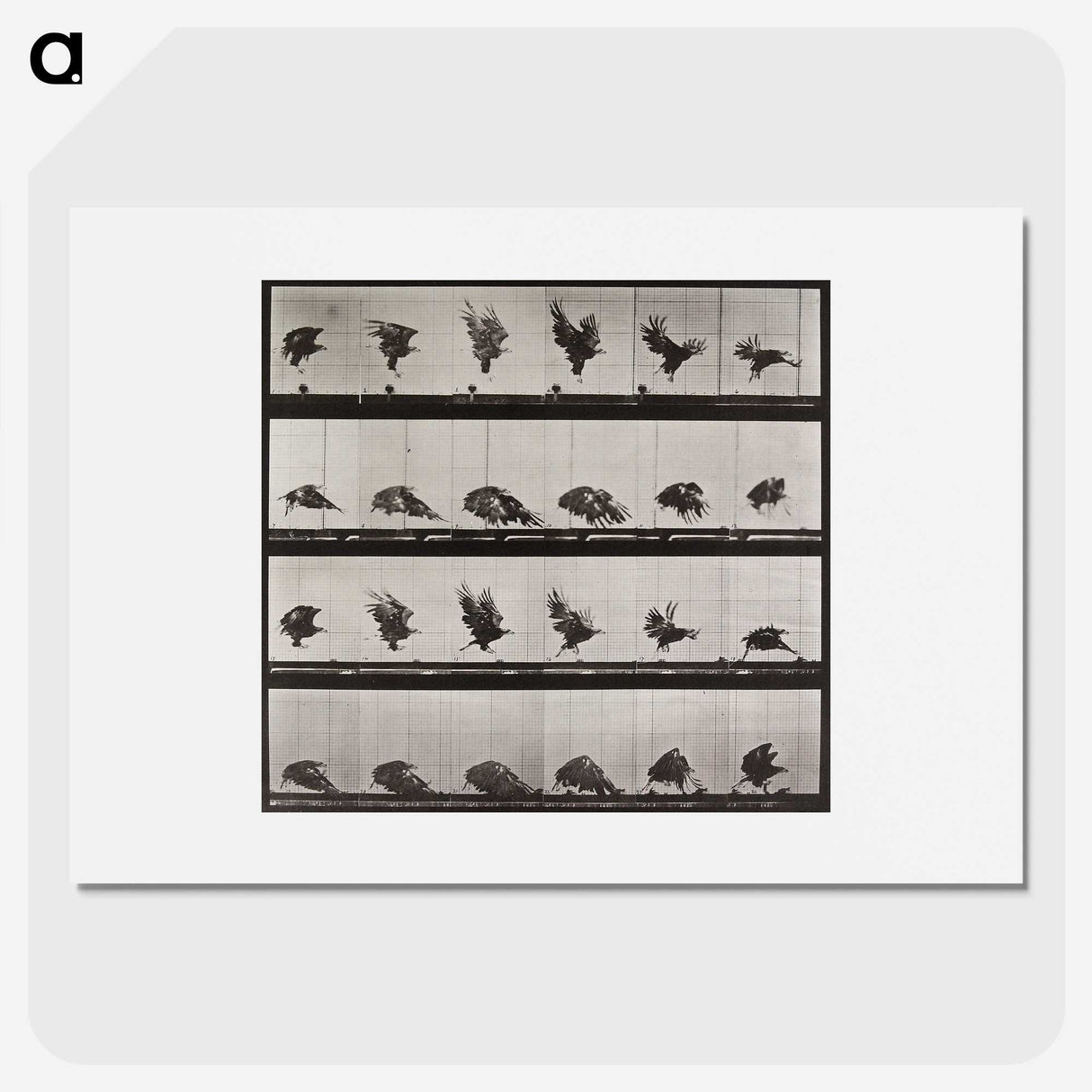 1-36_Eadweard-Muybridge_picture