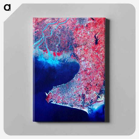 アートパネル-Beihai, Guangxi from Terra
 - 上空からの地球 Canvas.