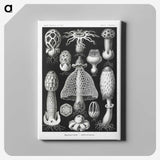 1-36_Ernst-Haeckel_canvas