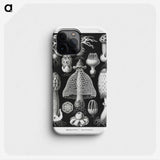 1-36_Ernst-Haeckel_phone