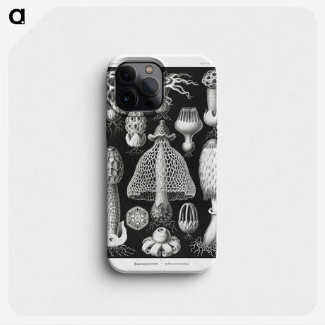 1-36_Ernst-Haeckel_phone