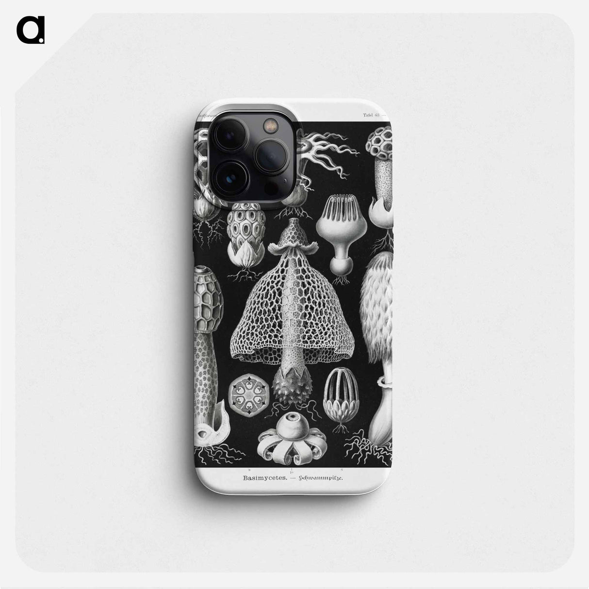 Basimycetes–Schwammpilze - エルンスト ヘッケル Phone Case.