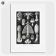 1-36_Ernst-Haeckel_picture