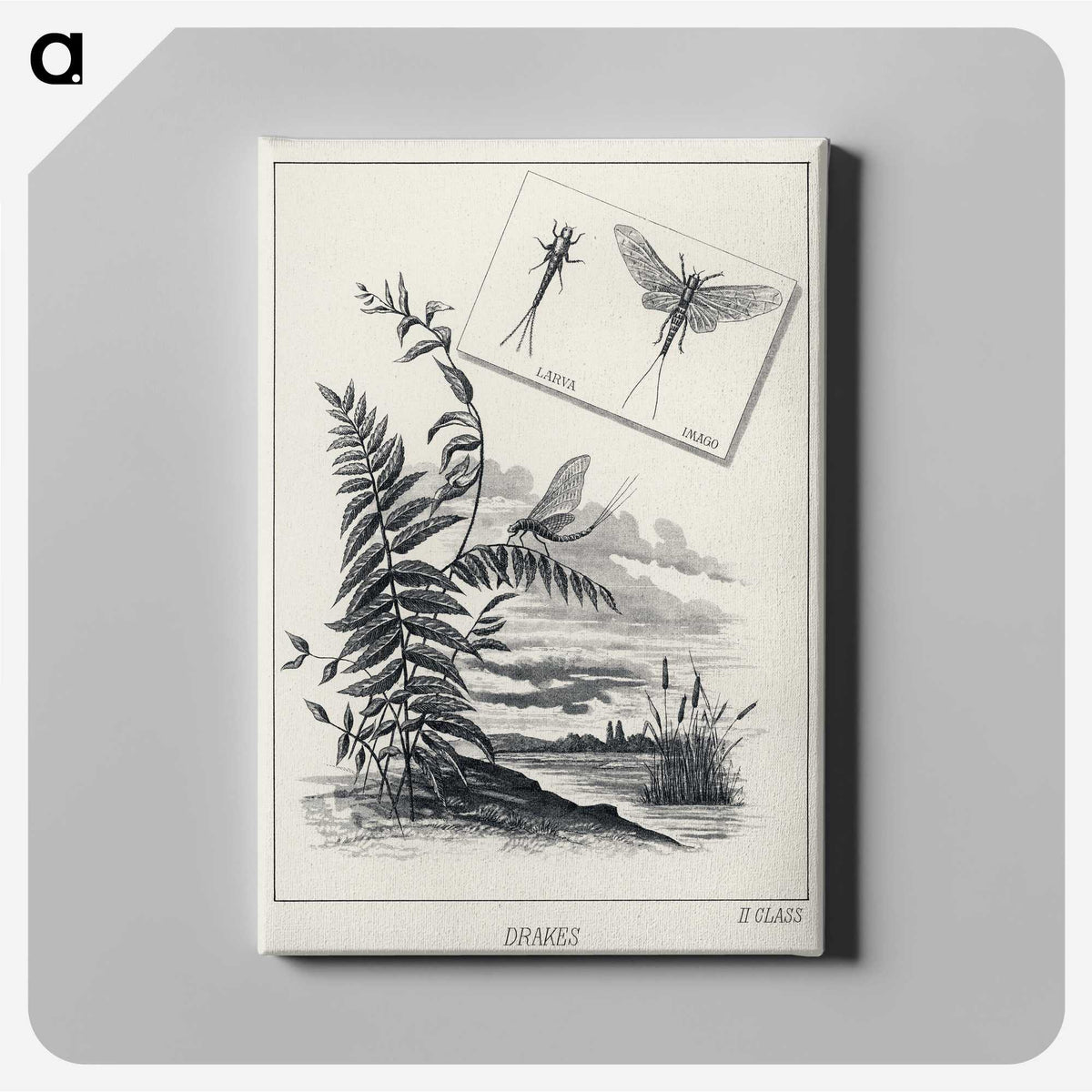1-36_Favorite-Flies-and-Their-History_canvas