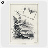 1-36_Favorite-Flies-and-Their-History_picture-crop