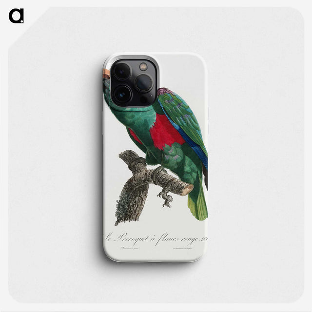 1-36_Francois-Levaillant_phone
