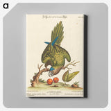 1-36_George-Edwards_canvas