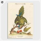 1-36_George-Edwards_picture-crop
