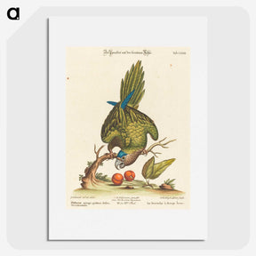 1-36_George-Edwards_picture
