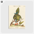 1-36_George-Edwards_postcard