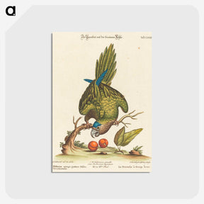 1-36_George-Edwards_postcard