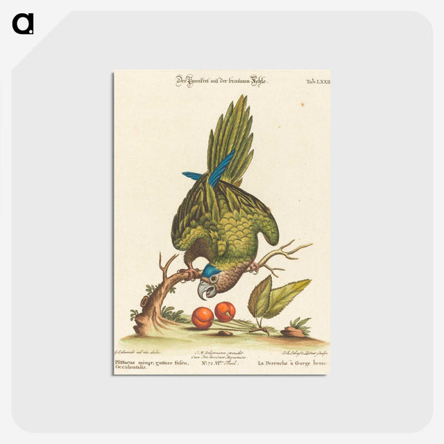 1-36_George-Edwards_postcard