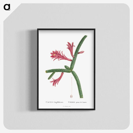 1-36_Histoire-des-Plantes-Grasses_blk-crop