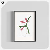 1-36_Histoire-des-Plantes-Grasses_blk