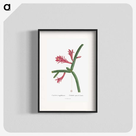 1-36_Histoire-des-Plantes-Grasses_blk