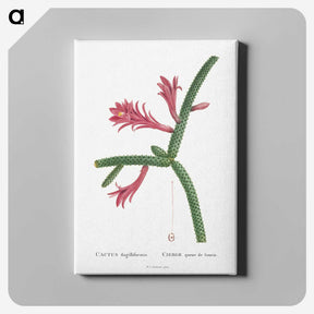 1-36_Histoire-des-Plantes-Grasses_canvas