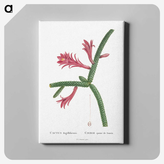 1-36_Histoire-des-Plantes-Grasses_canvas