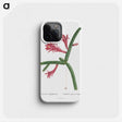 1-36_Histoire-des-Plantes-Grasses_phone